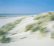 duinwind
